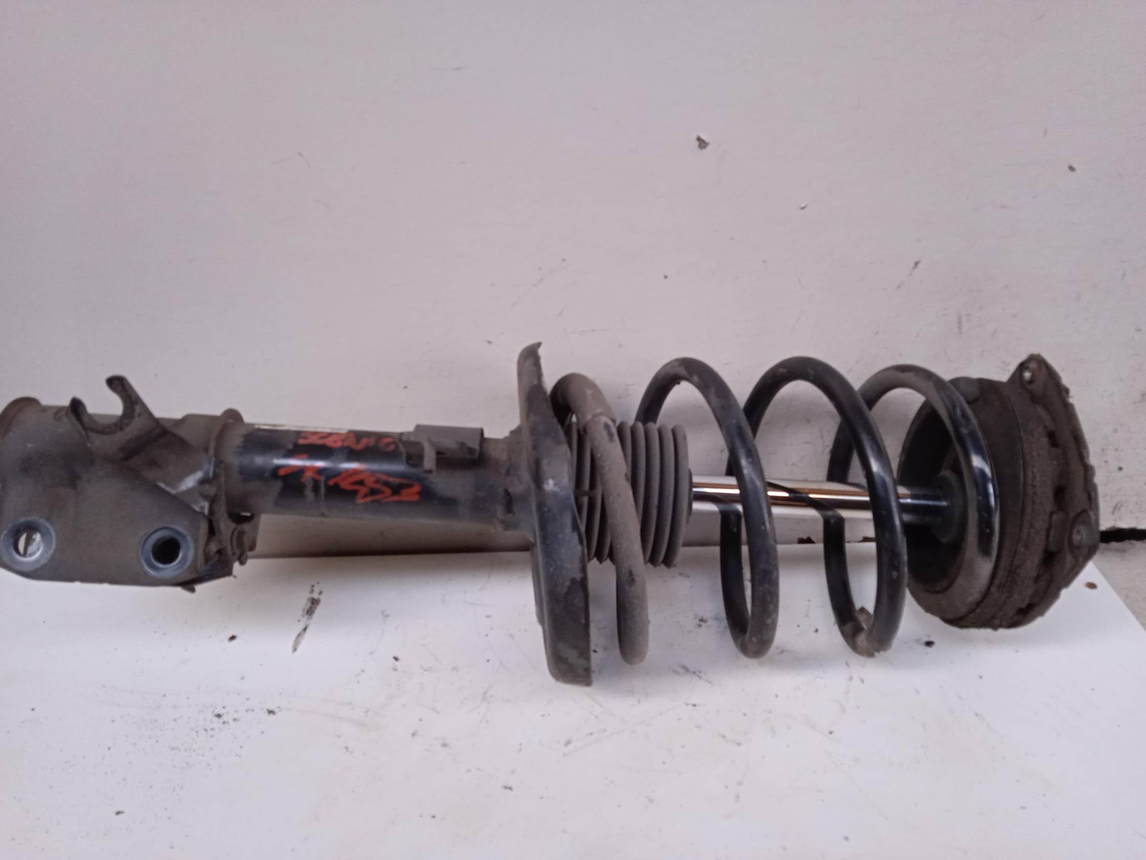 Ammortizzatore ant. sx.